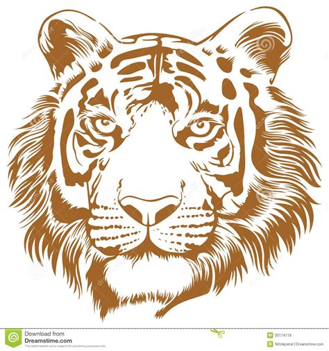 Tiger Stencil Royalty Free Stock Images Image 35174119 Animal