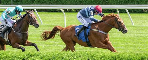 Awakened Captures Jonathan Sheppard Steeplechase Stakes At Saratoga