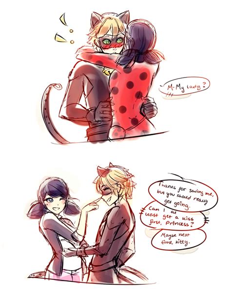 Tales of ladybug & cat noir. Shipping | Miraculous Ladybug | Know Your Meme