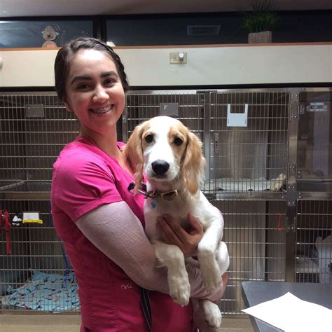 Looking for buena animal hospital pet care & boarding? Paulina (1) - Buena Vet