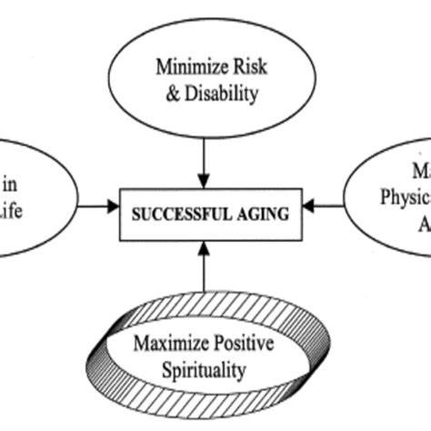 Rowe And Kahns Successful Aging Model Revised By Crowther 61 A