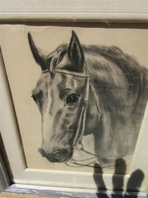 Amazing 1892 Horse Head Pencil Drawing By Lec Very Well Donenice
