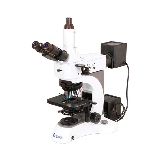¿qué Es Un Microscopio De Luz Ultravioleta Kalstein