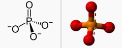 Lewis dot structure is the classical bonding model in which only valence electrons of the atoms are used. How does the Lewis structure in 3D structure for PO4^-3 ...