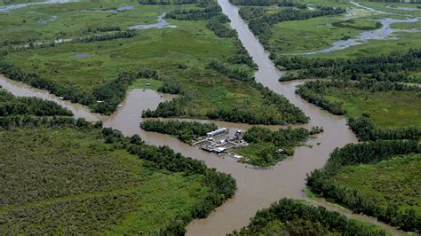 Water Protectors Fight To Block Louisianas Bayou Bridge Pipeline