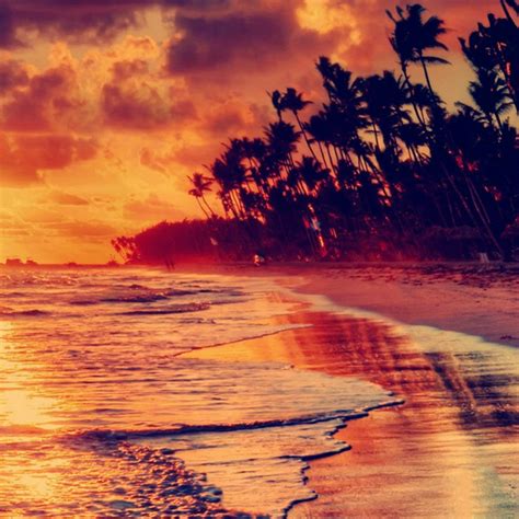 Free Download Nature Fire Sunset Beach Hd Wallpaper 7597 1080x1080