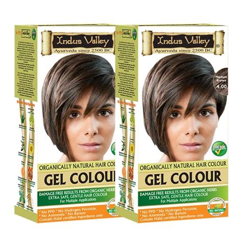Indus Valley Natural Organic Damage Free Permanent Gel Hair Color Up To