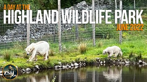 Highland Wildlife Park Tour ¦ Polar Bear Cub ¦ June 2022 Youtube