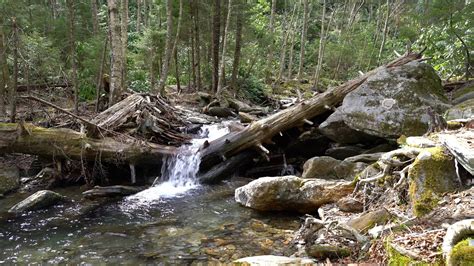 Stream Flowing Over Fallen Tree In Smoky Mountains Youtube