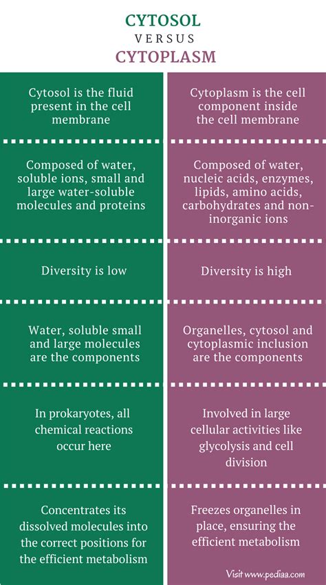 Cytoplasm in the largest biology dictionary online. Difference Between Cytosol and Cytoplasm | Composition ...