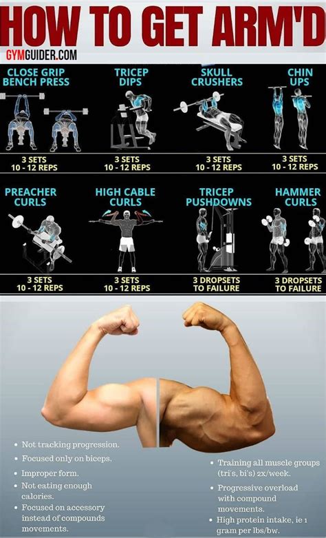 Target And Tone Your Entire Arms With These Easy Exercises Gymguider Com Gym Workout Chart