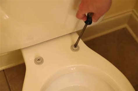 Tightening A Toilet Seat With Hidden Fixings Step By Step Guide