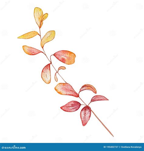 Watercolor Illustration Autumn Branch With Leaves Stock Illustration