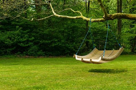 Hanging a swing between two trees is easier than the no branch method. The Many Different Types of Tree Swings | Captain Patio