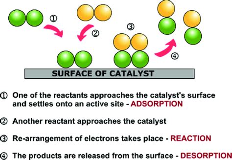 Catalytic Processes On A Solid Catalyst Download Scientific Diagram