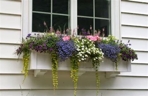 The Definitive Guide To Window Box Design The Impatient Gardener
