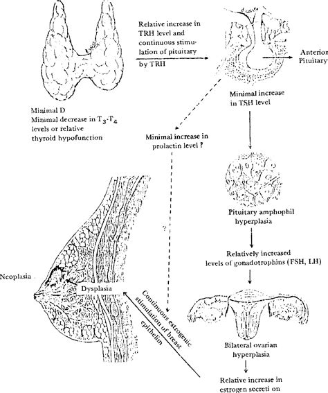 Figure 1 From The Relationship Between Thyroid Functions And Breast