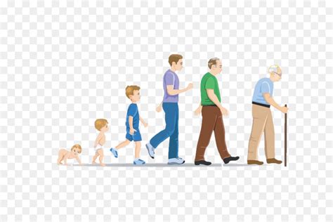 Cohort leb is the mean length of life of an actual birth cohort (all individuals born in a given year) and can b. Desarrollo Del Cuerpo Humano, La Vida, La Esperanza De ...
