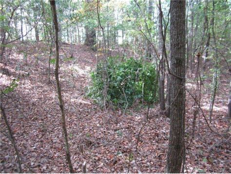 How To Build A Ground Blind In 5 Steps Prim Mart