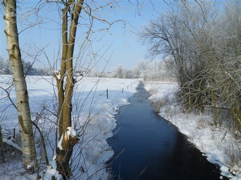 Free Images Tree Nature Branch Snow Cold Winter Frost River