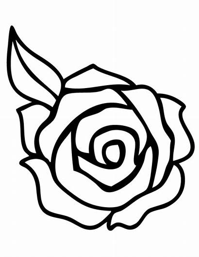 Coloring Roses Pages Rose Printable Flower Flowers