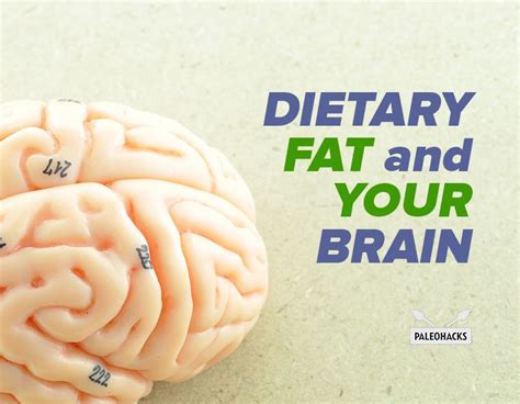 Dietary Fat And How It Affects Your Brain Paleohacks