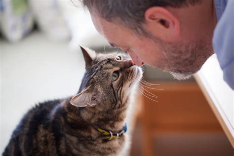 17 Things Your Cat Actually Wants From You Readers Digest Canada