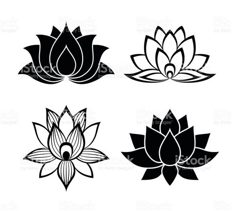 Four Black And White Lotus Flowers On A White Background Royalty