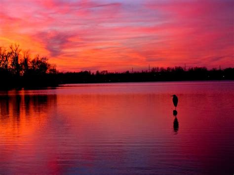Only the best hd background pictures. 39+ Pink Beach Sunset Wallpaper on WallpaperSafari