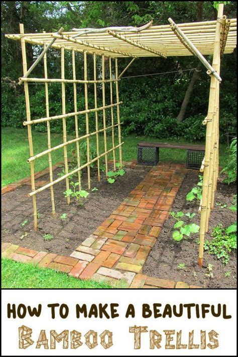 Diy Bamboo Trellis The Owner Builder Network Bamboo Trellis Bamboo