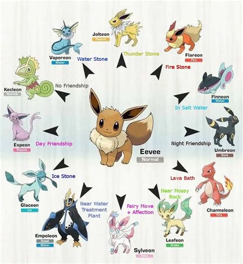 Eevee Evolutions All Types Pokemon
