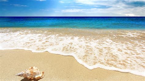 66 Cool Beach Wallpapers