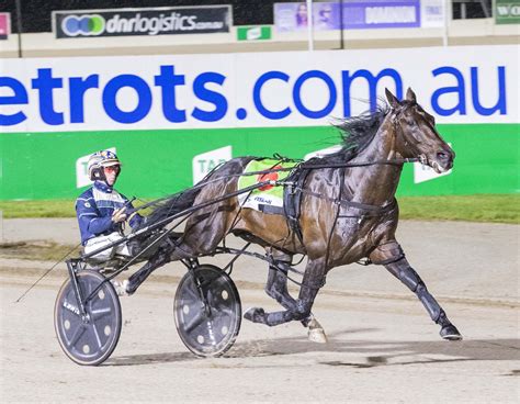 Ravishing Eight Breeders Crown Wins Sets Stewart Further Apart Harnesslink