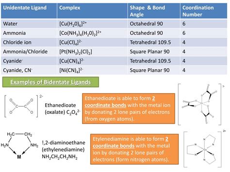 An example of a bidentate ligand is ethylenediamine. PPT - Complex Ions PowerPoint Presentation, free download ...