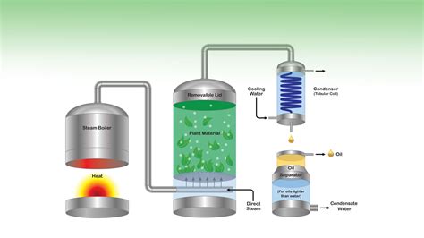 Steam Distillation Dōterra Essential Oils