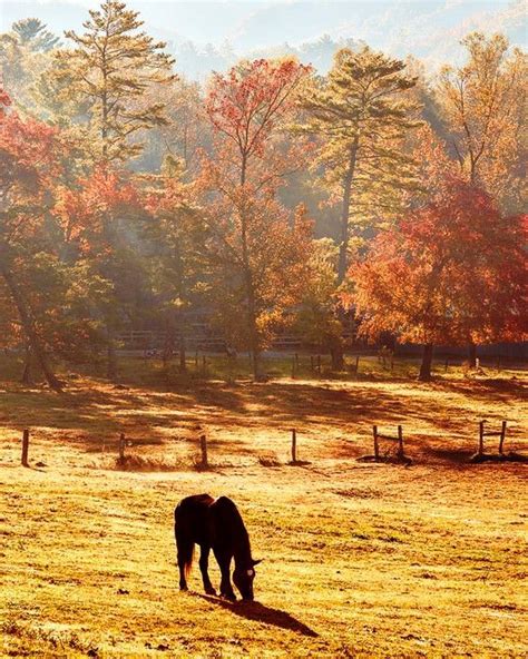 Dawn At Cades Cove Stables A Crisp Misty Fall Morning Near The