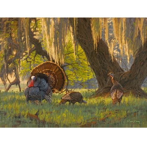 wild turkey art ryan kirby wildlife and hunting art
