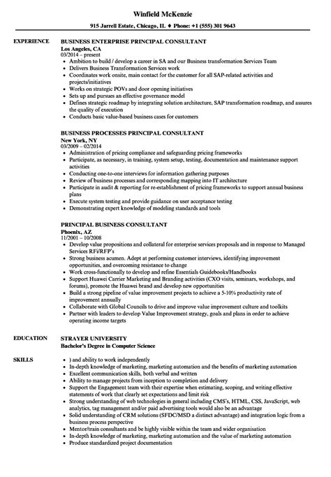 Principal Business Consultant Resume Samples | Velvet Jobs
