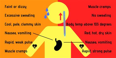 Whats The Difference Between Heat Exhaustion And Heat Stroke