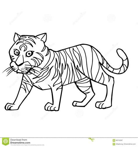 Cartoon tiger coloring page from tigers category. Cartoon Cute Tiger Coloring Page Vector Stock Vector ...