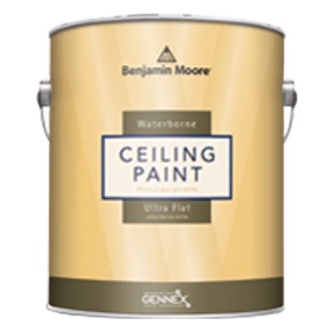 Benjamin Moore Waterborne Ceiling Paint Ultra Flat (508) | Best ceiling paint, Painted ceiling ...