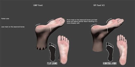Healthy Feet Female Feet Rps Feet For Skyrim Unpb Uunp Cbbe At Skyrim Nexus Mods And