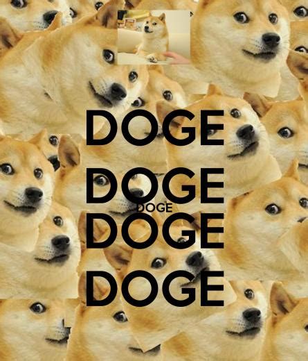 Free Download Displaying 20 Images For Doge Windows 1920x1080 For
