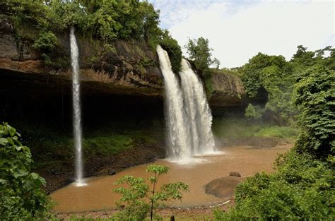 Последние твиты от stephanie bakula (@sannbak). Pygmäen in Kamerun: Im Regenwald lebt der Stamm der ...