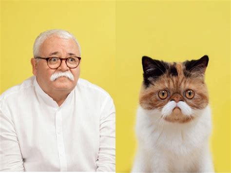 Photos Owners And Their Cats Look Hilariously Alike In This Card Game