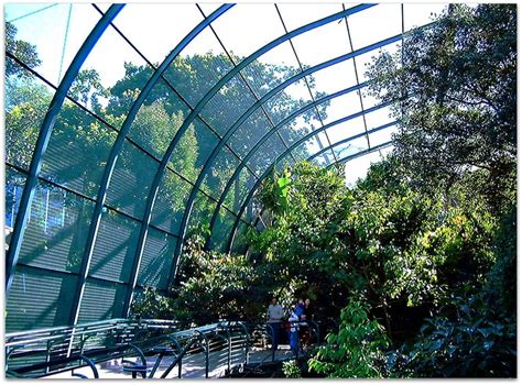 Owens Rain Forest Aviary Huge Bird Cage The San Diego Zoo In