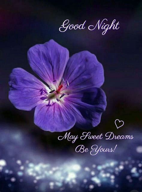 Good Night! | Good night love images, Good night gif, Good night flowers