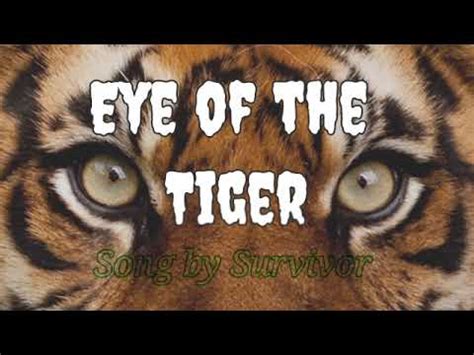Eye Of The Tiger Lyrics Song By Survivor YouTube