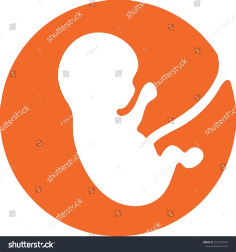 Fetus Icon Icon Embryo Baby Icon Stock Vector Royalty Free 1521072077