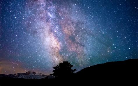 Download Wallpaper 1680x1050 Tree Silhouette Starry Sky Milky Way